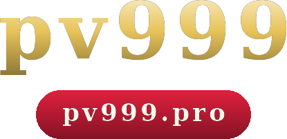 pv999 logo